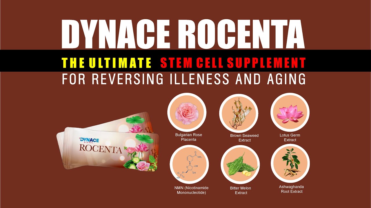 DYNACE Rocenta Stem Cell Supplement | My Wellness Store