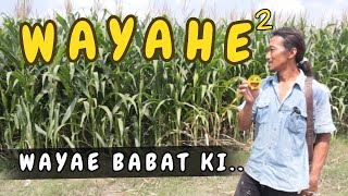 BABAT TEBON JAGUNG BUAT SILASE DAN FERMENTASI (Berlian Farm Kediri)