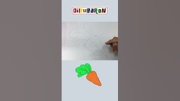 How to draw a carrot step by step | Easy drawing | Quick draw