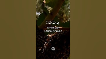"ثم كلي من كل الثمرات" سورة النحل SURAH NAHL #عبدالولي_الاركاني #ABDULWALI_ALARKANI