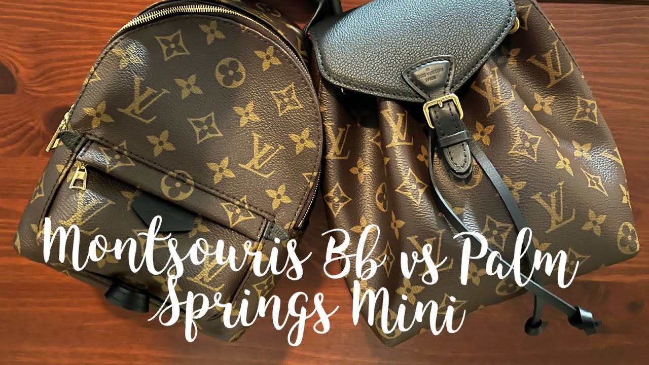 Louis Vuitton Montsouris BB vs Palm Springs Mini 