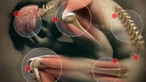 الرقيه الشرعيه للشيخ احمد السقاف ابو عبد العزيز(18-1-2017)