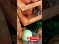 Новый ТЦ в Минске / Дегустации с/х продуктов / Бесплатная детская зона / Национальная кухня здесь