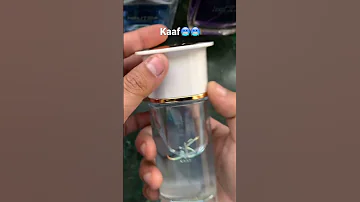 Kaaf By Ahmed Al Maghribi Best Summer Perfume Beast Mode Perfume Kaaf Fragrance Fragrances 