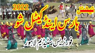 Horse and cattle show | Fortress Stadium Lahore | @umarseries2264