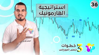 استراتيجية الهارمونيك الاحترافية