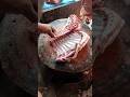 Skills mutton Cutting #muttonrecepi #goatmeat #streetfood #muttonfry #goatmeatrecipes #goatrecipes