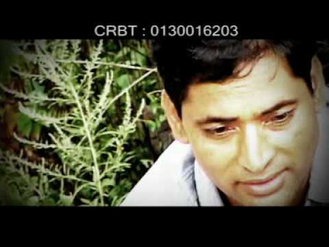 Bhim Niroula - Sangai Jaun