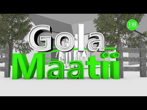 FiB TV Hiikkaa Gaa Elaa Irratti Yaada Alamaayyoo Hoxxeessaa TV FiB Irratti 2012 