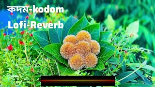 কদম-Kodom  || Lofi-reverb || Blue_Jeans