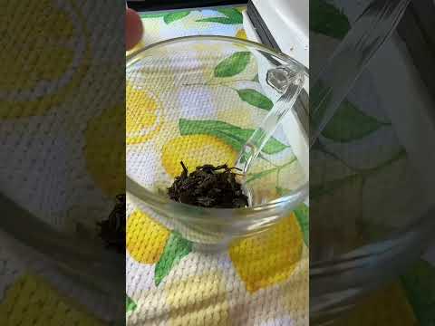 فوائد الشاي الاخضر والشاي الاسود