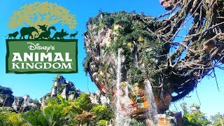 Join us as we head to disney's animal kingdom theme park located at
walt disney world! in this vlog share on ride footage from all of the
major rides t...