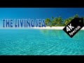 The Living Sea 1995 4K IMAX