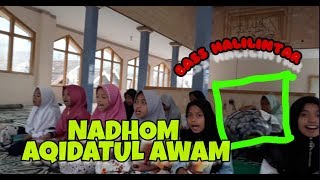 BASS HALILINTAR - NADHOM AQIDATUL AWAM