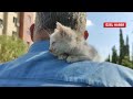 tv100 ekibi Azerbaycan'da yardıma muhtaç kediye sahip çıktı!