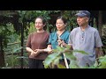 My family and the farm harvest sapodillas and garlic to sell at the market