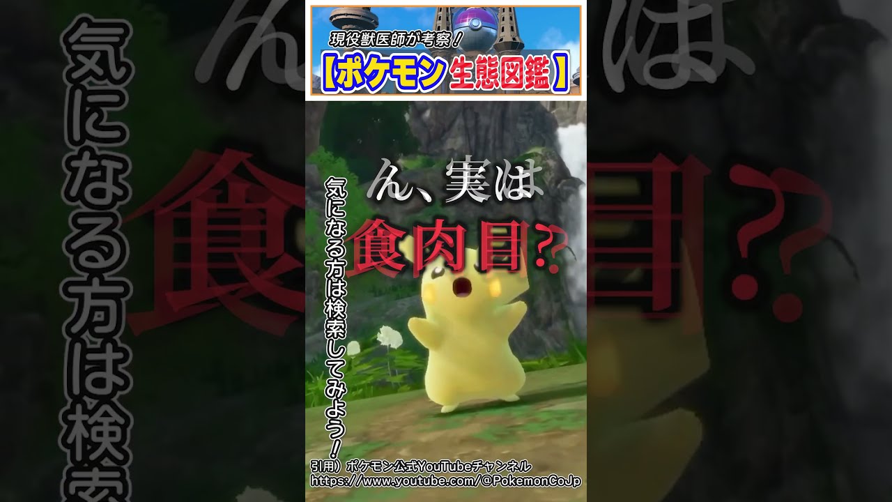 【ポケモン生態図鑑】現役獣医師のガチ考察ポケモン図鑑:ピカチュウ【#ポケモン】#shorts #pokemon
