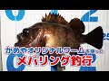 かめやオリジナルワームを使ってメバリング！！【メバル】