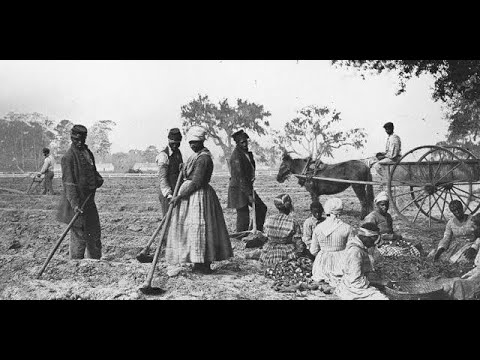 Video: Kunnen slaven stemmen in 1860?