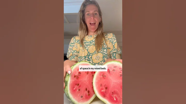 Here’s how to grow watermelon: from seed to fruit🍉#garden #watermelon #seed #summer #plants