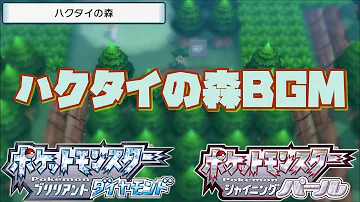 森の神殿 Bgm 耐久