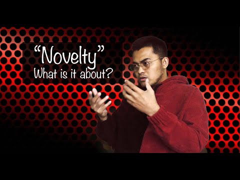 Novelty: What is it about? [In English]