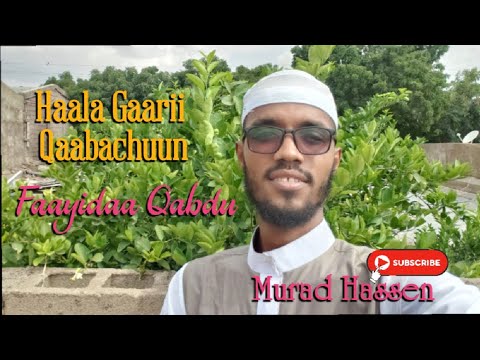 Haala Gaarii Qabaachun Faayidaa Isiin Qabdu Murad Hassen
