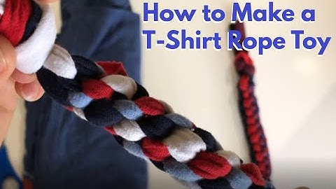 DIY Dog Toy Making Video