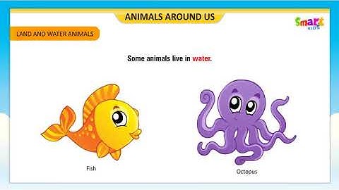 PVI SCIENCE LESSON # 6 (PART 2) Date: 8th May 202 Topic: Land and Water Animals