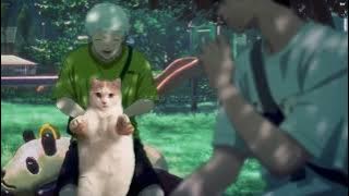 Quand Hikaru décide de faire danser le chat - The Summer Hikaru Died 