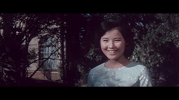 【日活版】泥だらけの純情 予告篇