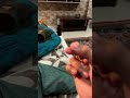 Viral trend #viralshorts” finger trend 🫰🫰