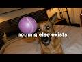 what my dog taught me about being present
