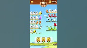Bird Sort Game Level 162