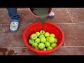 Unique Creative ideas from Cement and Tennis Ball - How to make Pots - Flower pot Design Ideas