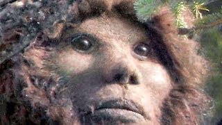 Origins Of Todd Standings Sylvanic Bigfoot