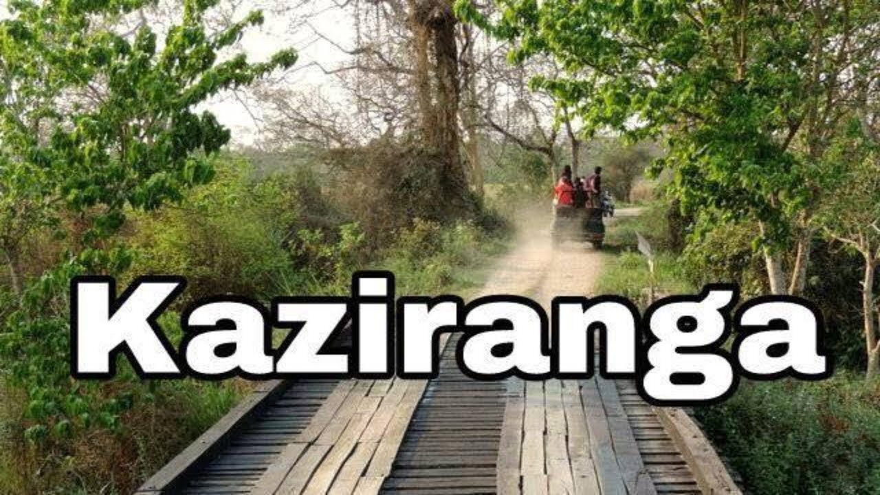 Guwahati to Kaziranga | 200 Kms | Tour of Northeast ep.01