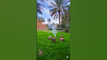 {وَأَنذِرْهُمْ يَوْمَ الْحَسْرَةِ}،سورة مريم،الشيخ محمود البنا