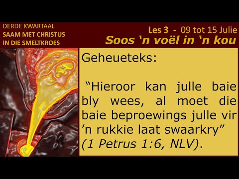 Video: Ortopediese kussing vir babas: keuse, toepassing, resensies