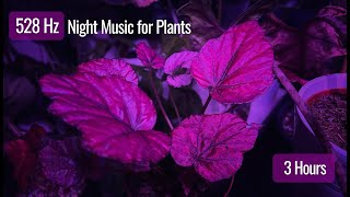 528 Hz Night Music for Plants 🌙 Deep Healing & Strong Root Growth