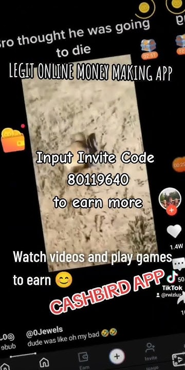legit-online-money-making-app-invite-code-80119640-cashbird