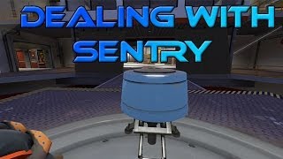 Famous Dealing with Sentry [SFM] Net Worth