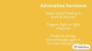 Endocrine System_Garcia screenshot 5