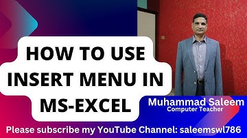 INSERT Menu PART-3 of MS-EXCEL II #saleemswl786