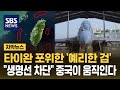 &quot;머리 깨지고 피 흘릴 것&quot;…중국, 스텔스기 띄우고 작전 개시 (자막뉴스) / SBS