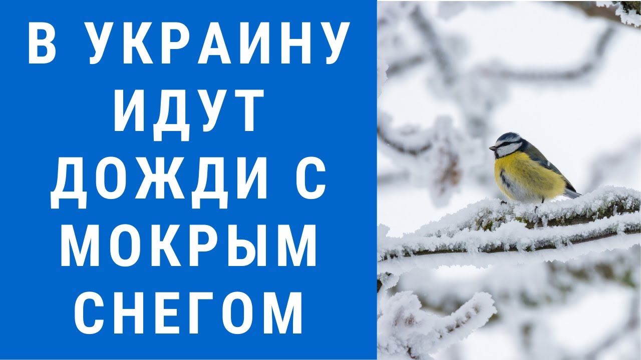 Погода на завтра моторное