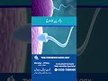 Banjhpan Ka Ilaj | Male Infertility Causes & Treatment | Dr. Majed Saeed