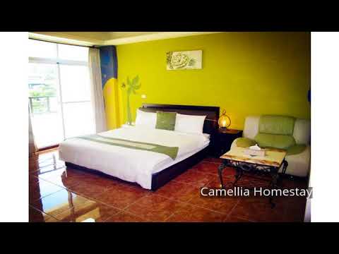 Camellia Homestay