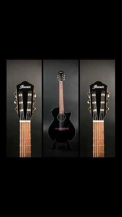 Ibanez AAEG50N , Acoustic Electric , Classical Guitar – Portland