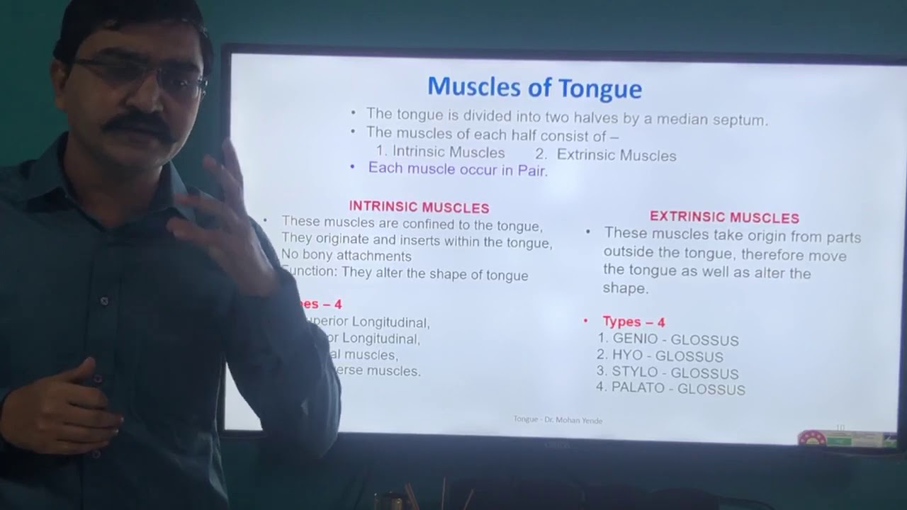 Anatomy of Tongue - YouTube